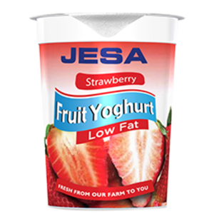 JESA strawberry fruit yoghurt 500g