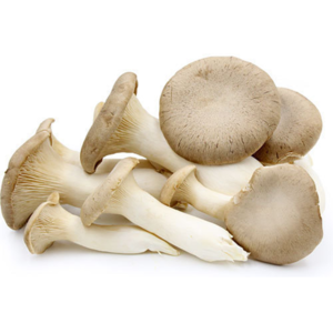 Mushrooms
