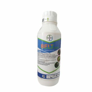 BELT SC 480