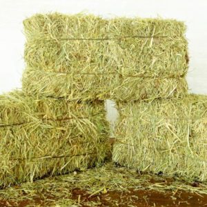 Hay per bale