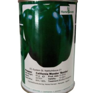 Sweet Pepper California Wonder -50g