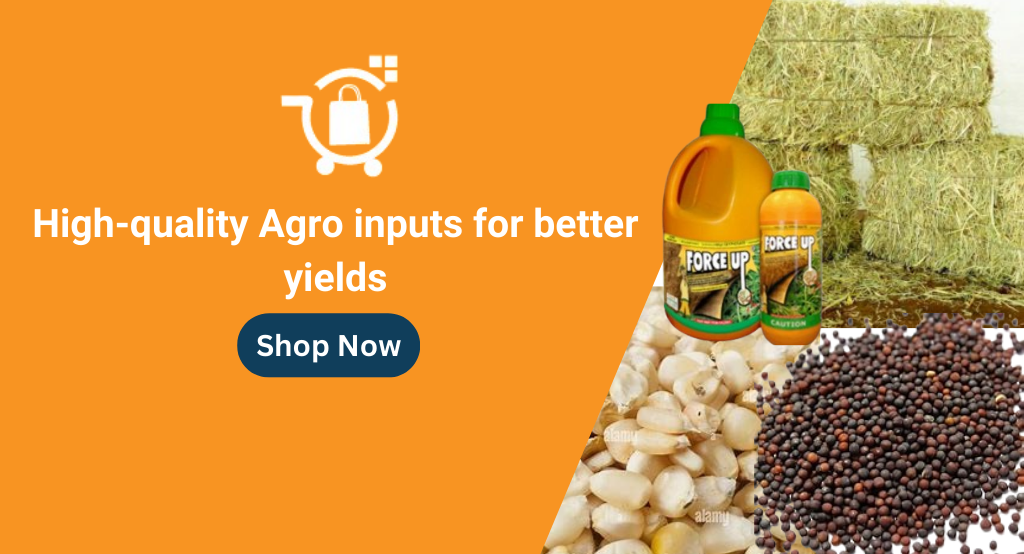 High-quality Agro inputs for better yields Agro-input
